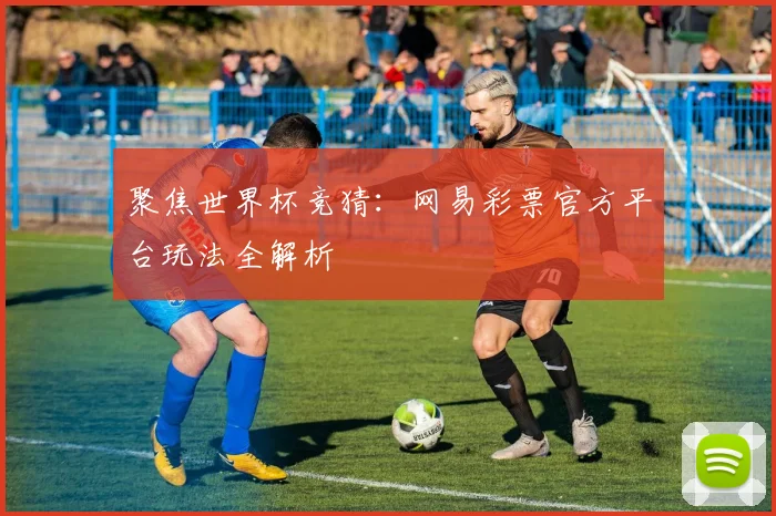 聚焦世界杯竞猜：网易彩票官方平台玩法全解析