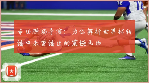 专访现场导演:为你解析世界杯转播中未曾播出的震撼画面