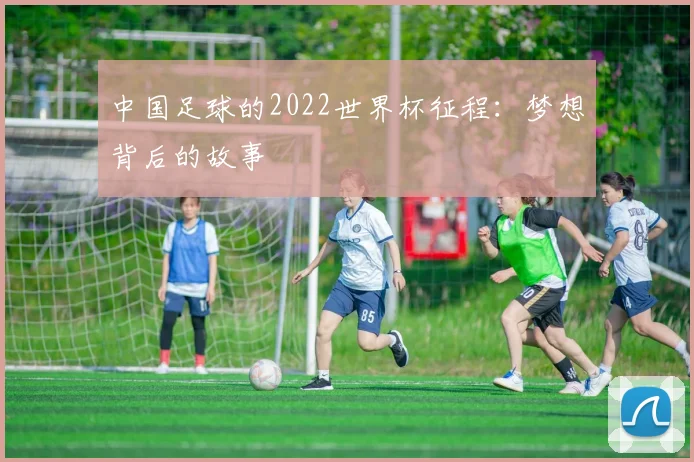 中国足球的2022世界杯征程：梦想背后的故事