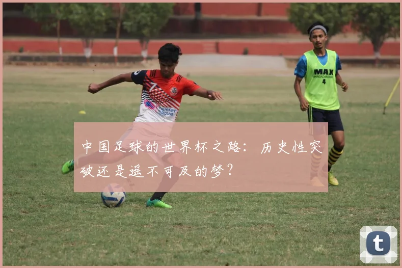 中国足球的世界杯之路：历史性突破还是遥不可及的梦？