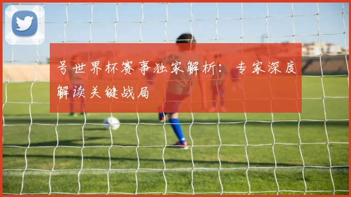 号世界杯赛事独家解析:专家深度解读关键战局