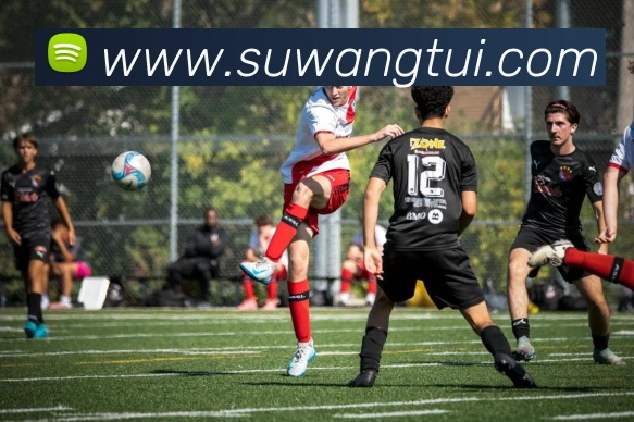 三亿体育官网登录入口服务体系